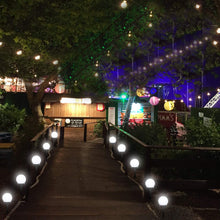 Carregar imagem no visualizador da galeria, Luz Solar LED para Jardim - Casare