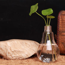 Carregar imagem no visualizador da galeria, Vaso Decorativo Hidropônico em Formato de Lâmpada – Casare
