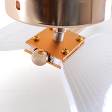 Carregar imagem no visualizador da galeria, Arandela de Parade Borboleta Encanto
